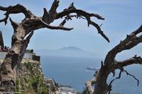 Andalusien (386) &ndash; &copy; Martin Büchner (Eberhardt TRAVEL)