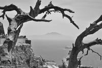 Andalusien (387) &ndash; &copy; Martin Büchner (Eberhardt TRAVEL)