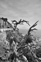 Andalusien (388) &ndash; &copy; Martin Büchner (Eberhardt TRAVEL)
