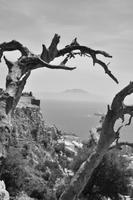 Andalusien (389) &ndash; &copy; Martin Büchner (Eberhardt TRAVEL)