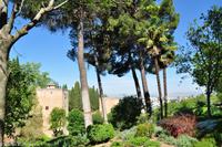 Andalusien (396) &ndash; &copy; Martin Büchner (Eberhardt TRAVEL)