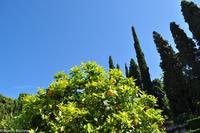 Andalusien (403) &ndash; &copy; Martin Büchner (Eberhardt TRAVEL)