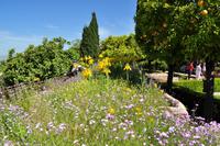 Andalusien (406) &ndash; &copy; Martin Büchner (Eberhardt TRAVEL)