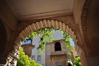 Andalusien (407) &ndash; &copy; Martin Büchner (Eberhardt TRAVEL)