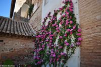 Andalusien (408) &ndash; &copy; Martin Büchner (Eberhardt TRAVEL)
