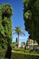Andalusien (431) &ndash; &copy; Martin Büchner (Eberhardt TRAVEL)