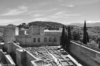 Andalusien (456) &ndash; &copy; Martin Büchner (Eberhardt TRAVEL)