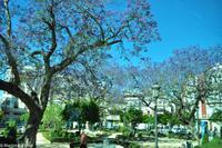 Andalusien (480) &ndash; &copy; Martin Büchner (Eberhardt TRAVEL)
