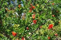 Andalusien (520) &ndash; &copy; Martin Büchner (Eberhardt TRAVEL)
