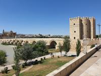 Tagesausflug nach Cordoba - Stadtrundgang