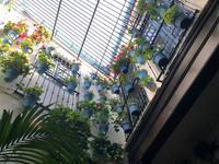 Malaga (5) &ndash; &copy; Francisco Javier Burgos Gutierrez (Eberhardt TRAVEL)