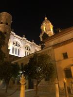 Malaga (8) &ndash; &copy; Francisco Javier Burgos Gutierrez (Eberhardt TRAVEL)