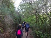 Sierra de Aracena (5) &ndash; &copy; Francisco Javier Burgos Gutierrez (Eberhardt TRAVEL)
