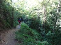 Sierra de Aracena (10) &ndash; &copy; Francisco Javier Burgos Gutierrez (Eberhardt TRAVEL)