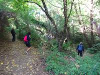 Sierra de Aracena (11) &ndash; &copy; Francisco Javier Burgos Gutierrez (Eberhardt TRAVEL)