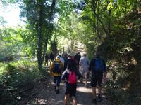 Sierra de Aracena (16) &ndash; &copy; Francisco Javier Burgos Gutierrez (Eberhardt TRAVEL)