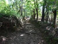 Sierra de Aracena (21) &ndash; &copy; Francisco Javier Burgos Gutierrez (Eberhardt TRAVEL)