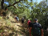 Sierra de Aracena (31) &ndash; &copy; Francisco Javier Burgos Gutierrez (Eberhardt TRAVEL)