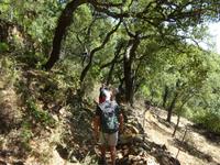 Sierra de Aracena (32) &ndash; &copy; Francisco Javier Burgos Gutierrez (Eberhardt TRAVEL)