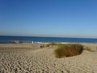 Donana (1) &ndash; &copy; Francisco Javier Burgos Gutierrez (Eberhardt TRAVEL)
