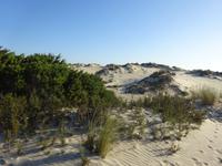 Donana (2) &ndash; &copy; Francisco Javier Burgos Gutierrez (Eberhardt TRAVEL)