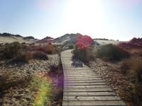 Donana (3) &ndash; &copy; Francisco Javier Burgos Gutierrez (Eberhardt TRAVEL)