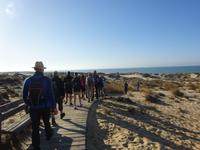 Donana (7) &ndash; &copy; Francisco Javier Burgos Gutierrez (Eberhardt TRAVEL)