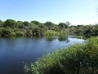 Donana (16) &ndash; &copy; Francisco Javier Burgos Gutierrez (Eberhardt TRAVEL)