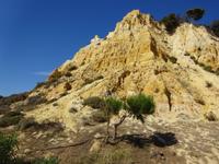 Donana (19) &ndash; &copy; Francisco Javier Burgos Gutierrez (Eberhardt TRAVEL)