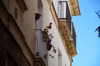 Blumen  &ndash; &copy; Andreas Böcker (Eberhardt TRAVEL)