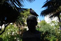 Denker mit Taube &ndash; &copy; Andreas Böcker (Eberhardt TRAVEL)