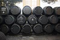 Bodegas Tradición  &ndash; &copy; Andreas Böcker (Eberhardt TRAVEL)