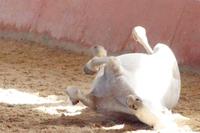 Muss auch mal sein &ndash; &copy; Andreas Böcker (Eberhardt TRAVEL)