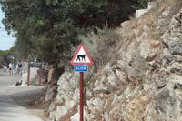 Langsam, Affen!  &ndash; &copy; Andreas Böcker (Eberhardt TRAVEL)