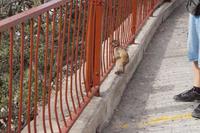 so cute &ndash; &copy; Andreas Böcker (Eberhardt TRAVEL)