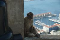 Apes Den &ndash; &copy; Andreas Böcker (Eberhardt TRAVEL)
