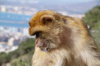 kritischer Blick in die Tiefe?  &ndash; &copy; Andreas Böcker (Eberhardt TRAVEL)