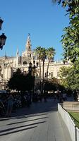 Kathedrale mit Giralda &ndash; &copy; Ingrid Langer (Eberhardt TRAVEL)