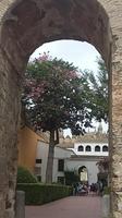 Real Alcazar Sevilla &ndash; &copy; Ingrid Langer (Eberhardt TRAVEL)