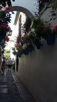Cordoba Blumengasse  &ndash; &copy; Ingrid Langer (Eberhardt TRAVEL)
