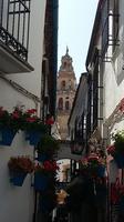 Cordoba Blumengasse  &ndash; &copy; Ingrid Langer (Eberhardt TRAVEL)
