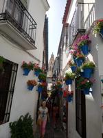 Cordoba Blumengasse RL Ingrid  &ndash; &copy; Ingrid Langer (Eberhardt TRAVEL)
