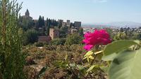 Generalife Alhambra Granada  &ndash; &copy; Ingrid Langer (Eberhardt TRAVEL)