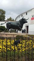 Ronda Stierkampfarena  &ndash; &copy; Ingrid Langer (Eberhardt TRAVEL)