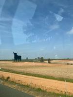 populärer Osbourne-Stier an Spaniens Autobahnen &ndash; &copy; Carina Schmidt (Eberhardt TRAVEL)