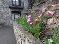 Frühling erwacht &ndash; &copy; Barbara Pflicke (Eberhardt TRAVEL)