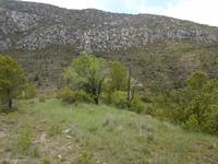 Coll de Nargo &ndash; &copy; Barbara Pflicke (Eberhardt TRAVEL)