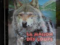 Wolfsfarm &ndash; &copy; Barbara Pflicke (Eberhardt TRAVEL)