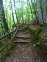 Wolfspark in Orlu &ndash; &copy; Stephanie John (Eberhardt TRAVEL)