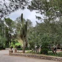 Garten Es Calderes &ndash; &copy; Kathrin Mickan (Eberhardt TRAVEL)